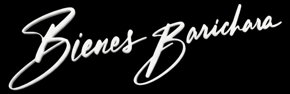 BienesBarichara Logo